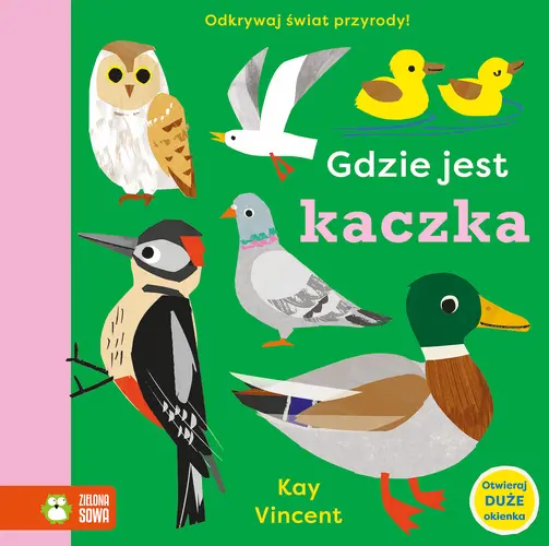 Okładka: Gdzie jest kaczka