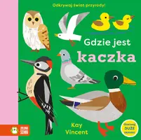 Okładka: Gdzie jest kaczka