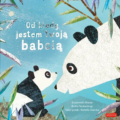 Okładka: Od kiedy jestem twoją babcią