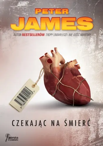 Okładka: Czekając na śmierć