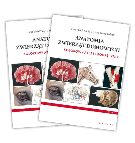 Okładka: Anatomia zwierząt domowych