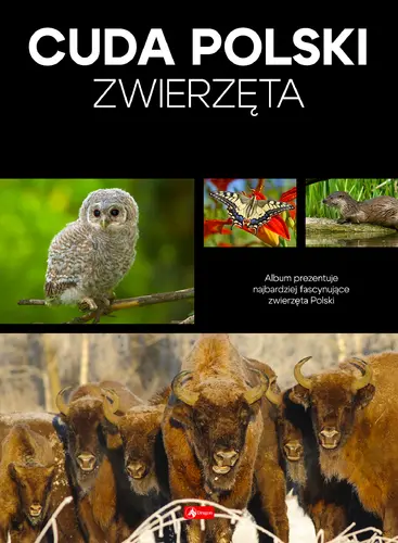 Okładka: Cuda Polski. Zwierzęta