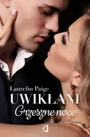Okładka: Grzeszne noce. Uwikłani. Tom 4.5