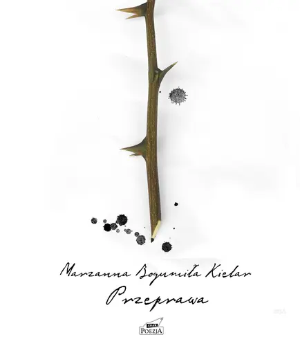 Okładka: Przeprawa