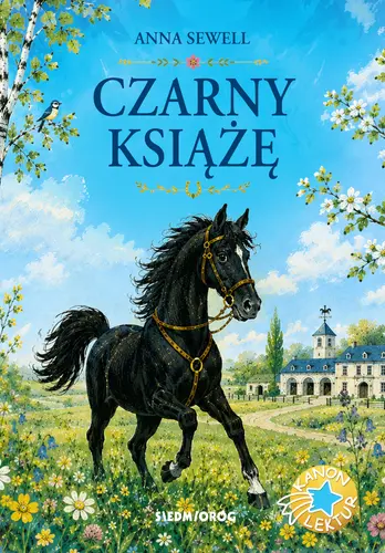 Okładka: Czarny Książę