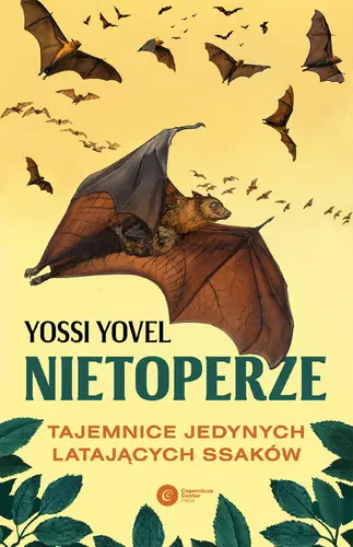 Okładka: Nietoperze