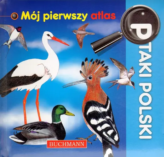 Okładka: Ptaki Polski. Mój pierwszy atlas