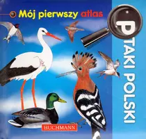 Okładka: Ptaki Polski. Mój pierwszy atlas