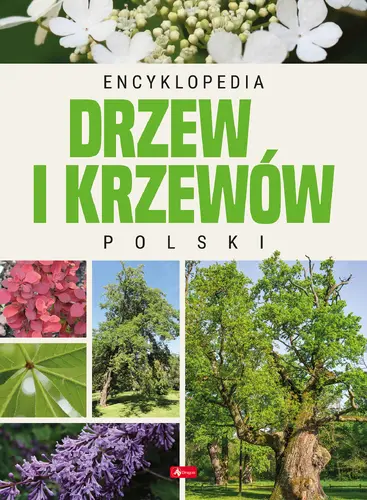 Okładka: Encyklopedia drzew i krzewów Polski