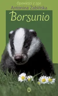 Okładka: Borsunio