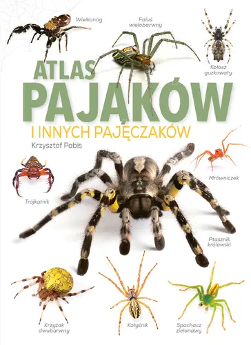 Okładka: Atlas Pająków