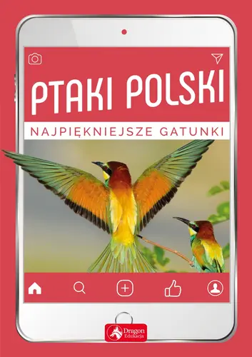 Okładka: Ptaki Polski