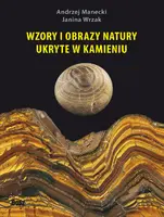 Okładka: Wzory i obrazy natury ukryte w kamieniu