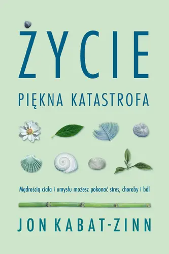 Okładka: Życie. Piękna katastrofa