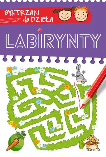 Okładka: BYSTRZAKI do dzieła. Labirynty