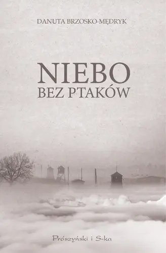 Okładka: Niebo bez ptaków