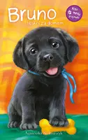 Okładka: Bruno tęskni za domem