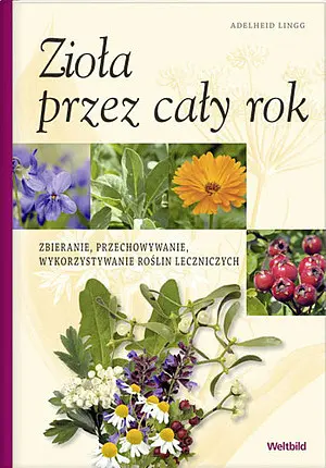 Okładka: Zioła przez cały rok