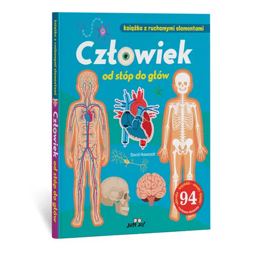 Okładka: Człowiek od stóp do głów