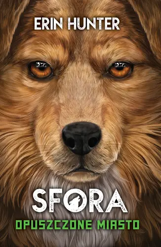 Okładka: Opuszczone miasto /Nowa Baśń/