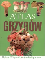 Okładka: Atlas grzybów