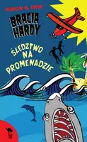 Okładka: Bracia Hardy