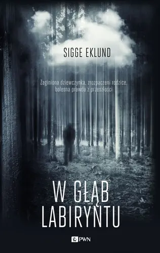 Okładka: W głąb labiryntu