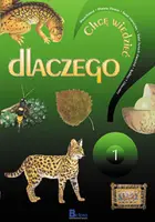 Okładka: Dlaczego? cz. 1. Chcę wiedzieć