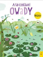 Okładka: A to ciekawe! Owady