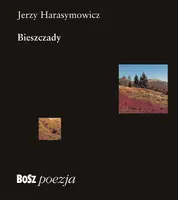 Okładka: Bieszczady
