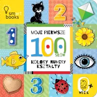 Okładka: MOJE PIERWSZE 100 SŁÓW. Kolory, numery, kształty. 0+