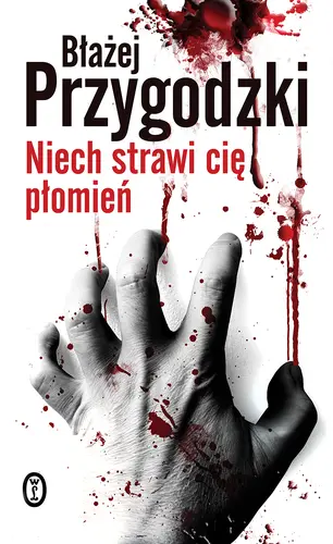 Okładka: Niech strawi cię płomień