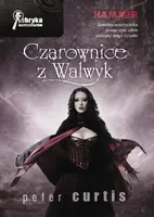 Okładka: Czarownice z Walwyk