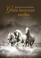 Okładka: Gdzie horyzont zanika