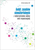 Okładka: Audyt zasobów niematerialnych z wykorzystaniem analizy sieci organizacyjnej