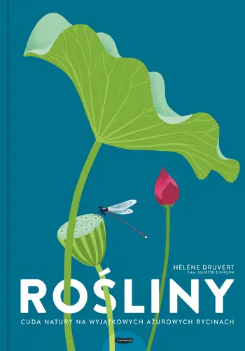Okładka: Rośliny. Cuda natury na wyjątkowych ażurowych rycinach.