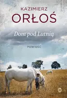 Okładka: Dom pod Lutnią