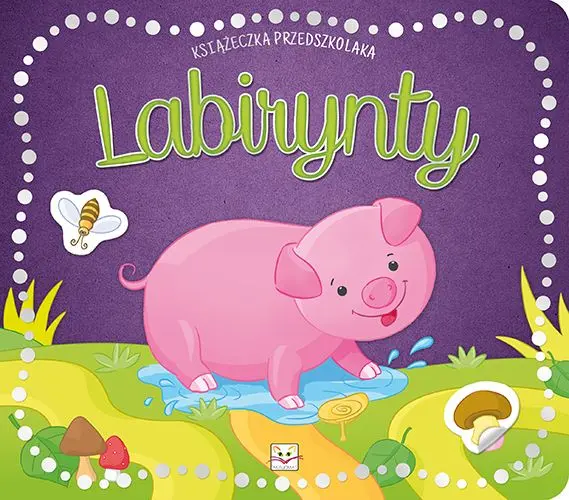 Okładka: Książeczka przedszkolaka. Labirynty