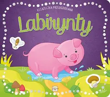 Okładka: Książeczka przedszkolaka. Labirynty