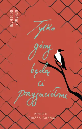 Okładka: Tylko góry będą ci przyjaciółmi