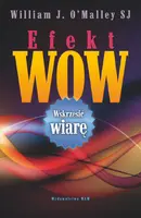 Okładka: Efekt WOW