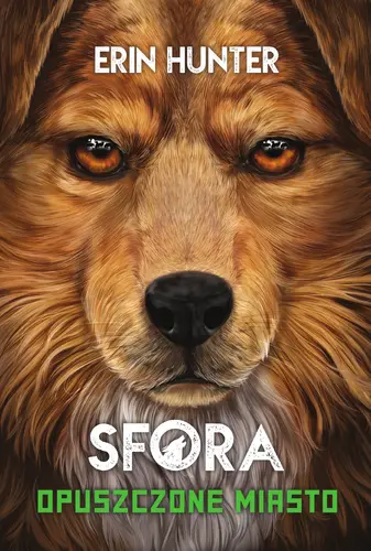 Okładka: Opuszczone miasto