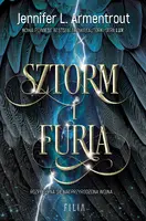 Okładka: Sztorm i Furia