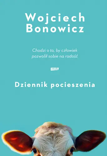 Okładka: Dziennik pocieszenia