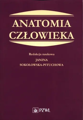 Okładka: Anatomia człowieka