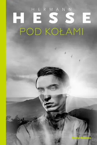 Okładka: Pod kołami