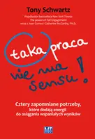 Okładka: Taka praca nie ma sensu!