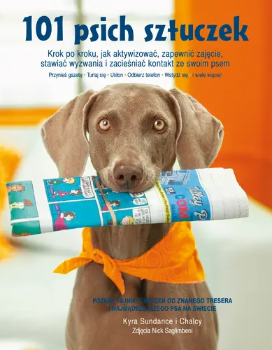 Okładka: 101 psich sztuczek