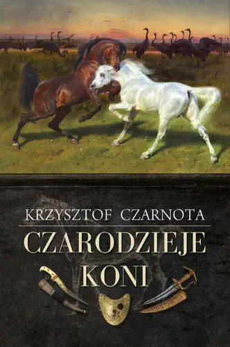 Okładka: Czarodzieje koni