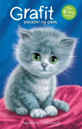 Okładka: Kto mnie przytuli? Grafit pasażer na gapę